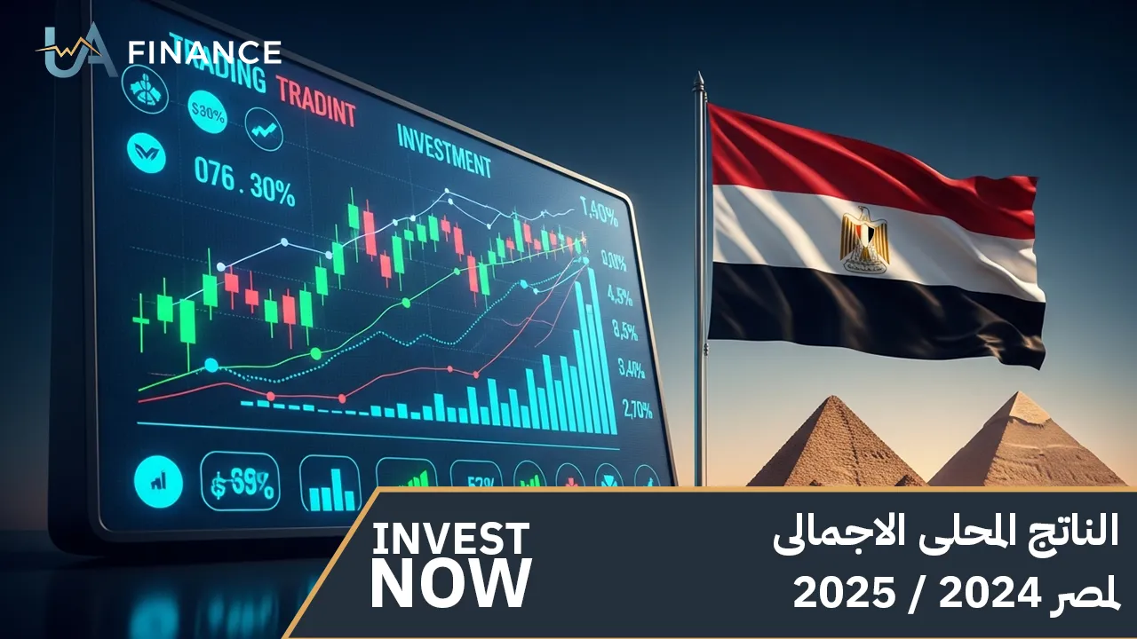 الناتج المحلى الاجمالى لمصر 2024 / 2025
