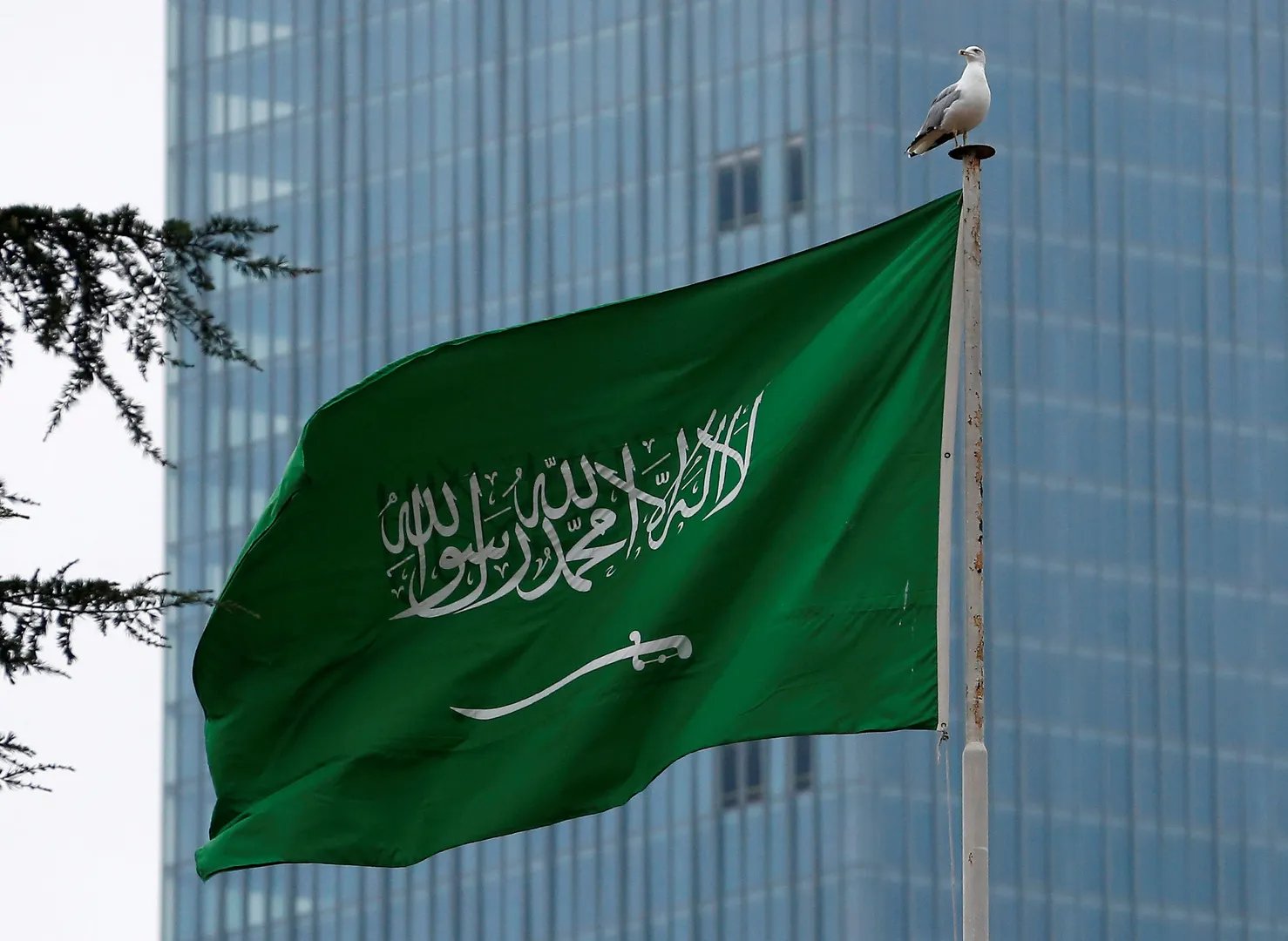 التضخم في السعودية يرسخ استقراره بالمنطقة الآمنة.. وتوقعات قوية لعام 2026