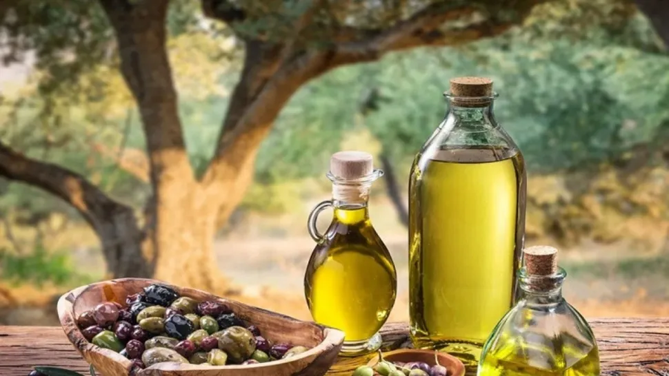 صادرات زيت الزيتون في تونس تعزز فائض الميزان التجاري