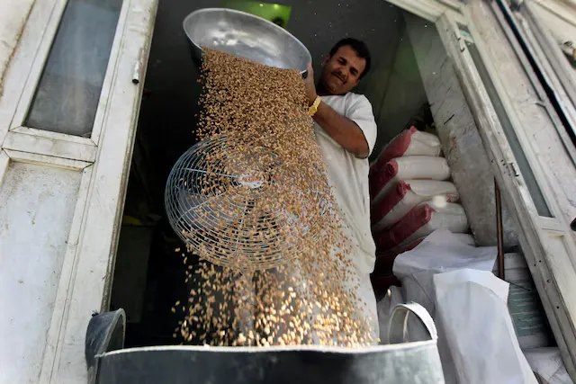 السعودية تطرح مناقصة ضخمة لشراء القمح