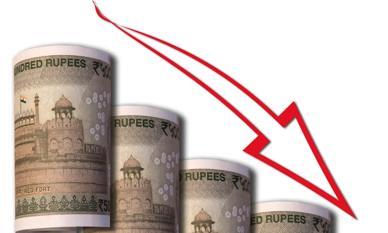 Local Bounti Drops as Losses Overshadow Growth