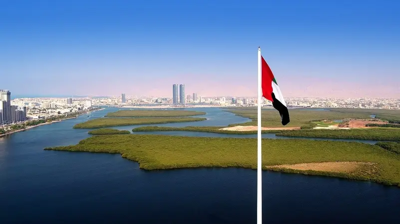 نمو القطاع الخاص غير النفطي في الإمارات يهبط لأدنى مستوى في 5 سنوات نمو القطاع الخاص غير النفطي في الإمارات يهبط لأدنى مستوى في 5 سنوات